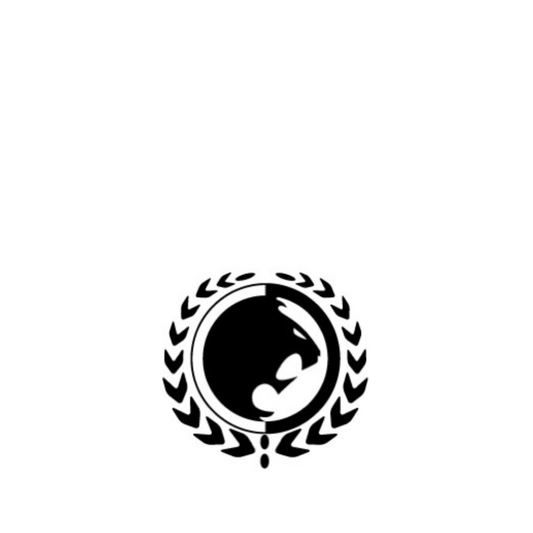 Welcome: Renzo Gracie Lakeway Jiujitsu!
